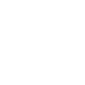 logo-envoliis