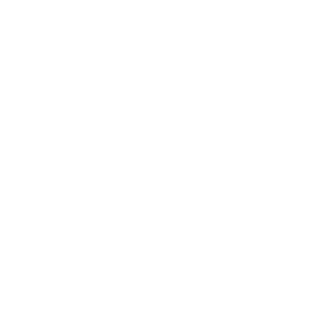 logo-geslin