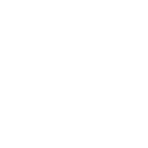 idea-group
