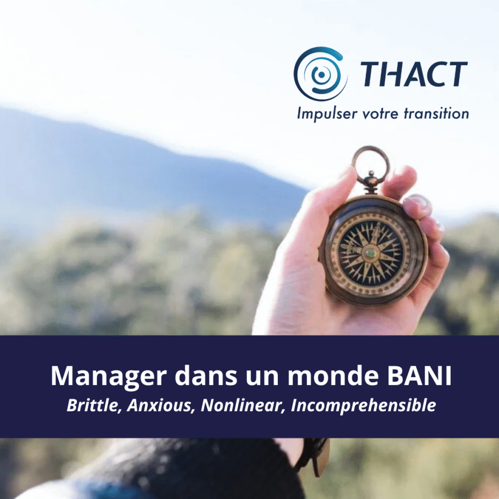 boussole symbolisant le changement de vuca a bani aider par le management de transition