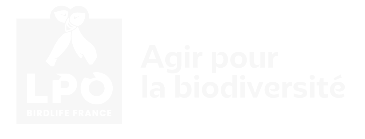 logo-lpo